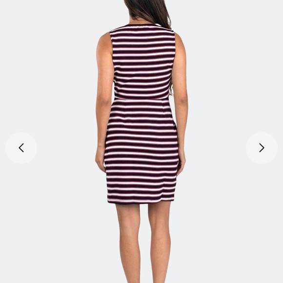 Sale NWT Leota Panel Dress in Cabana Stripe 1L - Picture 7 of 12